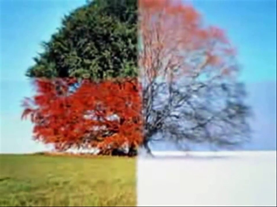 MLM Network Marketing Inspirational & Motivational Videos