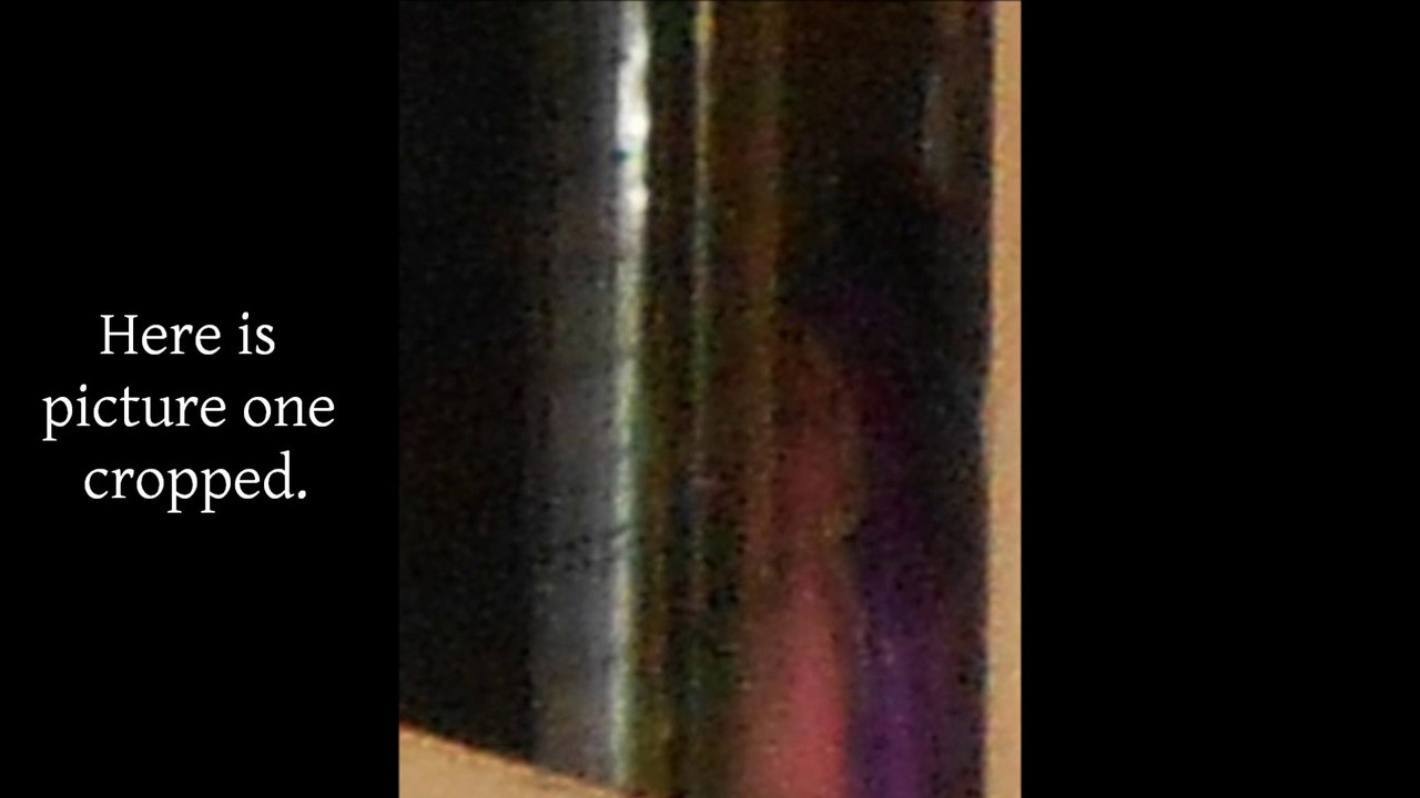 Unwelcome Visitor