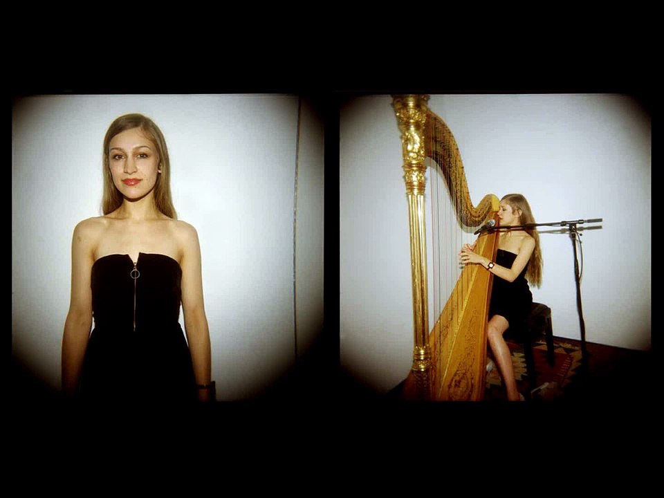 Joanna Newsom - The Diver's Wife