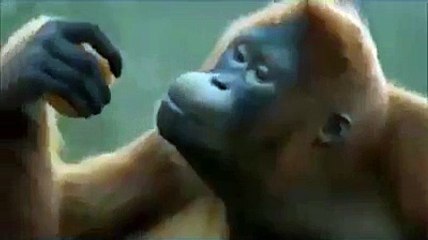 Jitna bhai Imran Jitna - Funny Videos