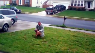 Dogs Welcoming Soldiers Home Compilation 2015