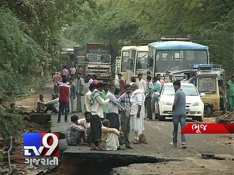 38,180 cattle dead in Gujarat floods, owners distressed - Tv9 Gujarati