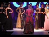 German model and Bollywood actress Evelyn Sharma Walked The Ramp With HOT & SEXY Models For IIJW 2015