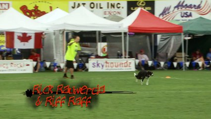 Rick Rauwerda & Riff Raff at the '10 Hyperflite Skyhoundz World Canine Disc Championship