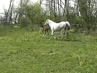 tadjoura au pré avec jaina avril 2007