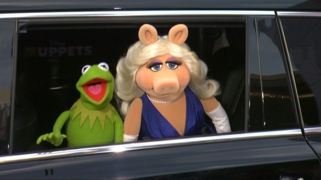 Kermit The Frog And Miss Piggy Are Getting A Divorce