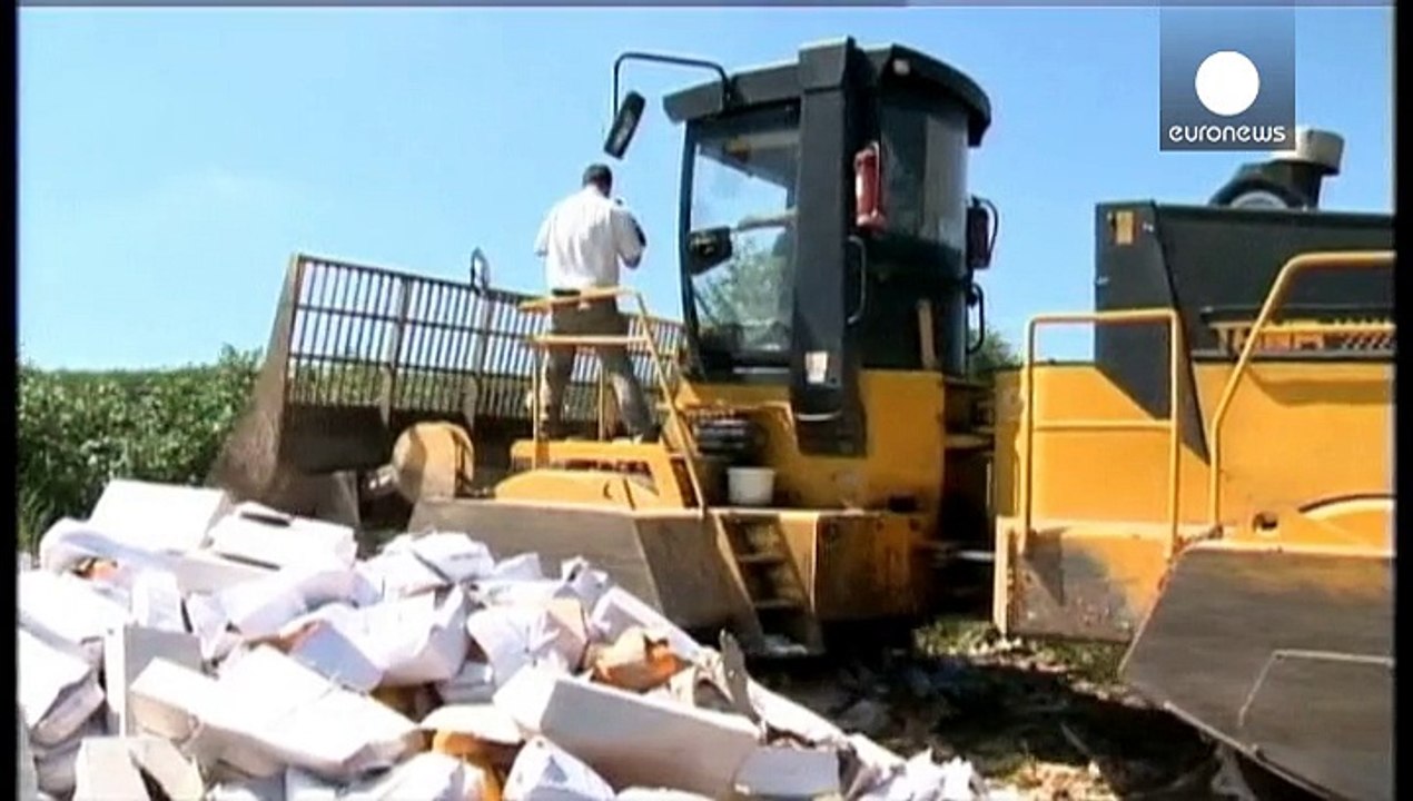 Käse platt, Essen teuer - ein Jahr Embargo westlicher Importe in Russland