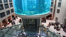 The Incredible 82ft Tall Hotel Aquarium in Berlin