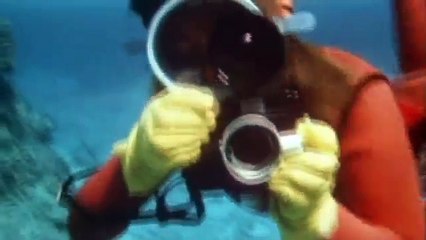 Underwater Footage - Great Barrier Reef