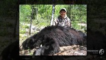 Spring Black Bear Hunts | Hunting Guide and Outfitters