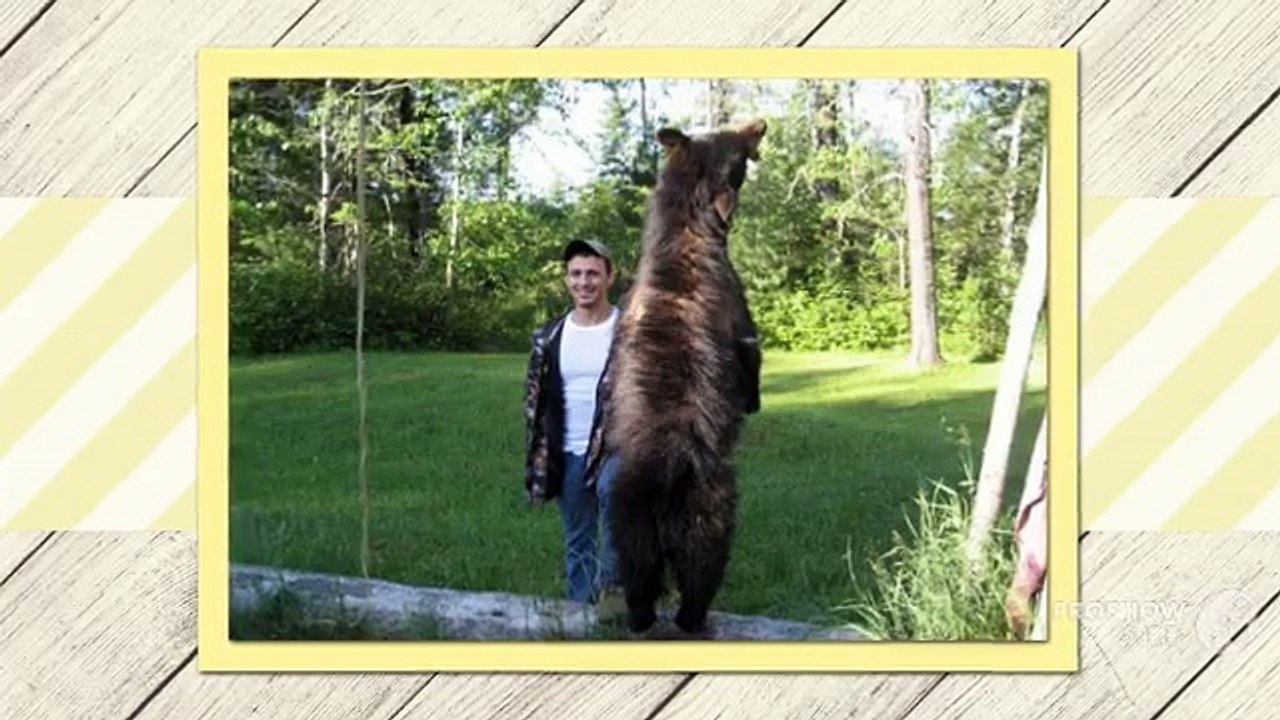 Black Bear Hunting Packages | Black Bear Hunting