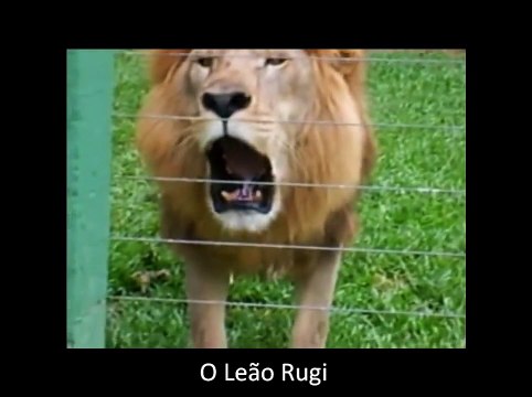 Aprendendo o Som dos Animais (Animais Selvagens)