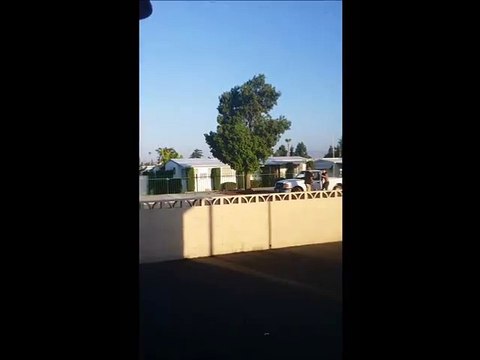 Man gets violently hit by a car during Road Rage!!