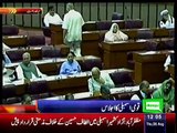 Speaker NA  Ayaz Sadiq. Address in National Assembly - 6th August 2015 - 6th August_0003