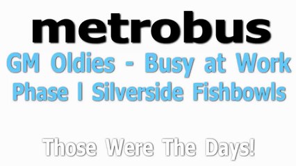 WMATA Vintage GM Fishbowl Buses