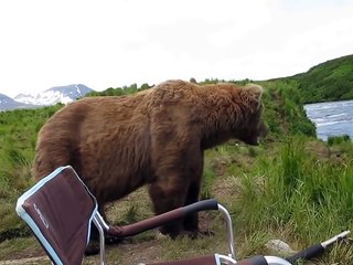 Il était en train de filmer un ours lorsque, soudain, quelque chose d'incroyable s'est produit.