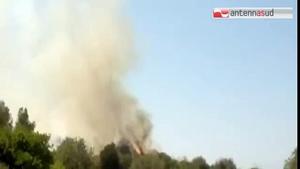 TG 03.08.15 Brucia ancora il Gargano, incendio a Peschici