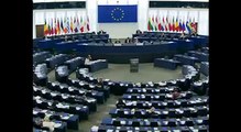 MEP Ewald Stadler (REKOS) - Organisiertes Verbrechen & Korruption - Debatte - 22.10.2013