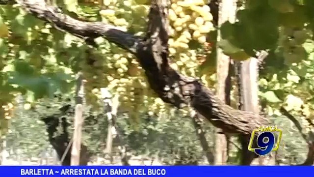 BARLETTA | Arrestata la banda del buco