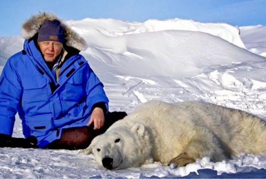 Kutuplar Atlası - İnce Buz Üstünde