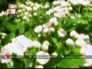 Hamd Allah Ho  Allah Ho - Syed Zabib Masood