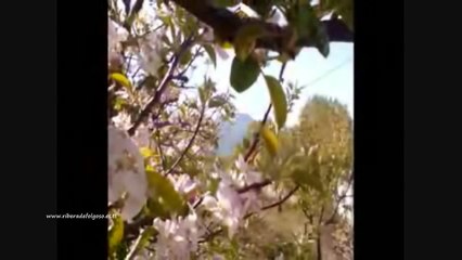 Canción de El Bierzo - "Quiero perderme en El Bierzo"