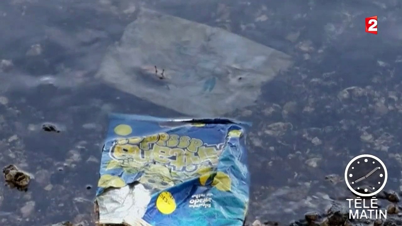 JO-2016 : l'eau de Rio grouille de bactéries et de virus