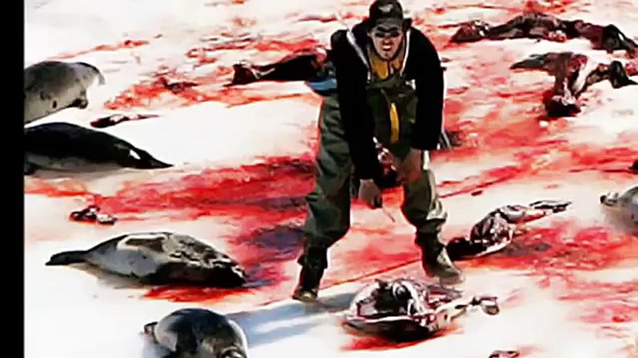 conciencia moral e identidad