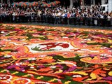 Bruxelles 10  -  Tapis de fleurs dans la Grande Place