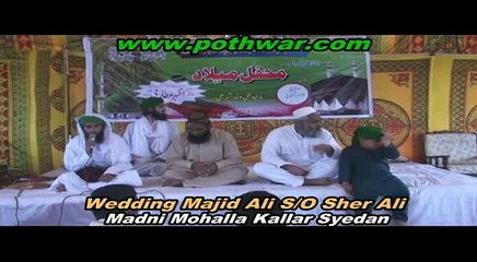 Wedding Majid Kallar