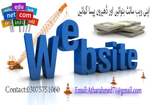 Build You Website & Earn Lots of Money From Website