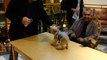 Rick Caran and Jilli Dog Meet Cesar Millan - The Dog Whisperer