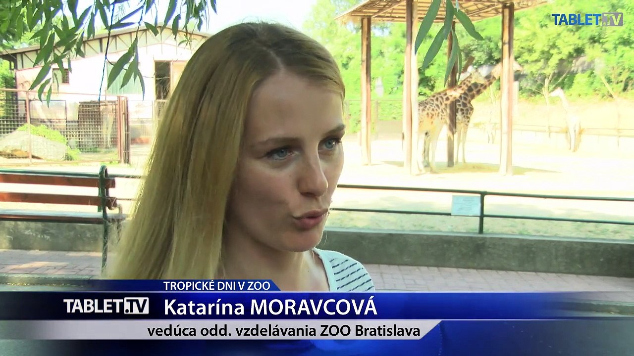 Zmrzlinu, bazén, či studenú sprchu si užívajú v lete aj zvieratá v ZOO 