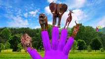 Animals Cartoon Finger Family Children Nursery Rhymes | Animals Finger Family Rhymes for Children