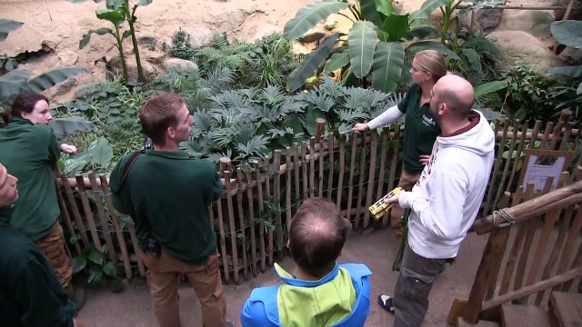 Olifanten maken kennis met jong