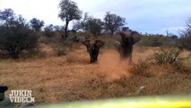 Elephant ATTACKS Safari Jeep EXCLUSIVE Footage [Never Before Seen]