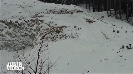 Luckiest Deer Ever AMAZING Explosion Survival!