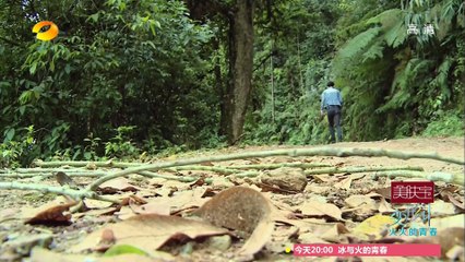 《变形计》第十二季 第20150806期: 哈尼精灵如何平衡双面教育 X-Change: Two-faced Education【湖南卫视官方版1080p】