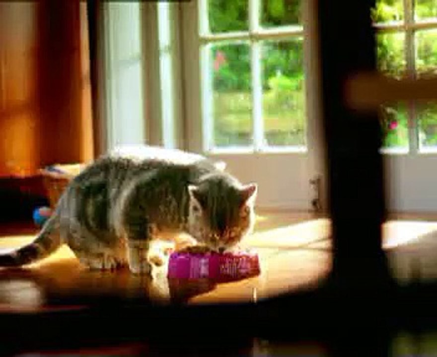 Publicité marrante pour whiskas