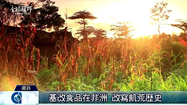 中央社《全球視野》第1745集2015-08-06