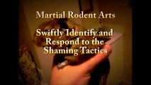 Martial Rodent Arts training & demo - Kudi vs Cat in an Epic Argument