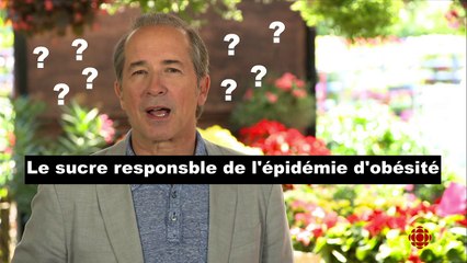 L'émission l'Épicerie et le sirop d'agave