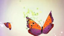 After Effects Project Files - Forgotten Butterflies Logo - VideoHive 7988637