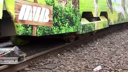 Straßenbahn-Unfall vom 17.1.2014 am Südring in Magdeburg-Sudenburg