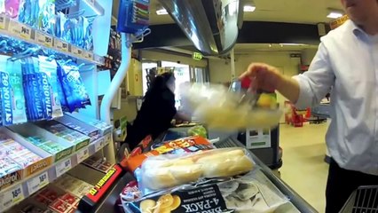 Discover the Elegant Hallberg-Rassy 48 Wilma ⛵️