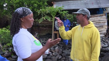 MH370: témoignage de l'homme qui a trouvé le débris d'avion