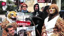 Protesta al Bioparco di Roma - Animalisti Italiani