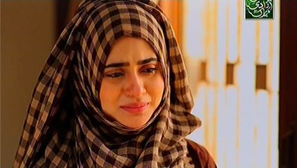 Behnein Aisi Bhi Hoti Hain Episode 273 Full on Ary Zindagi