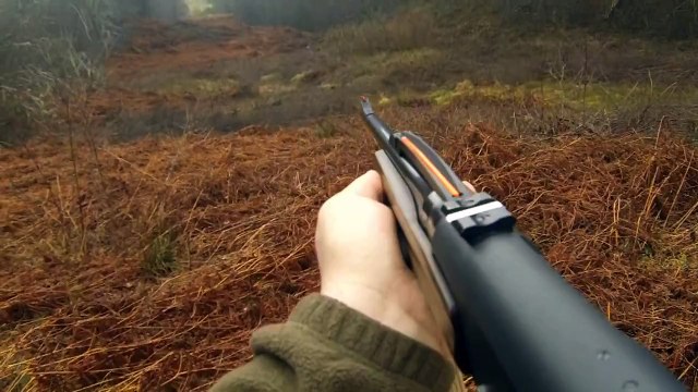 Chasse aux Cerf, Tirs d'un 8 cors et d'un 4 cors.