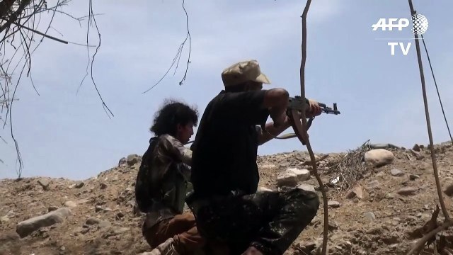 Yemen loyalists control al-Anad airbase